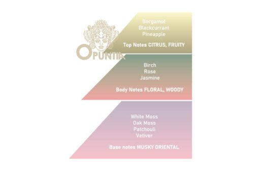 Saponificio Varesino Tundra Artica Sapone Da Barba Formula Beta 4.3 150 gr