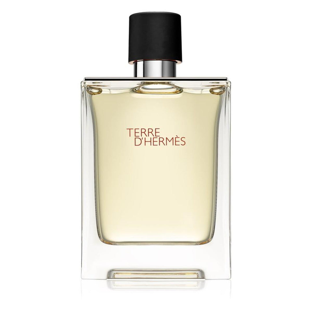 Terre D'Hermes Eau De Toilette 100 ml