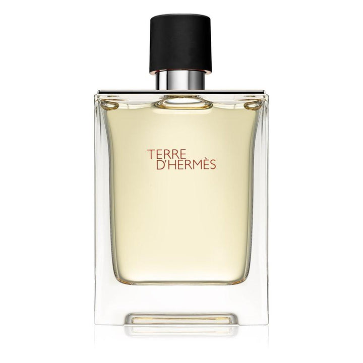 Terre D'Hermes Eau De Toilette 100 ml